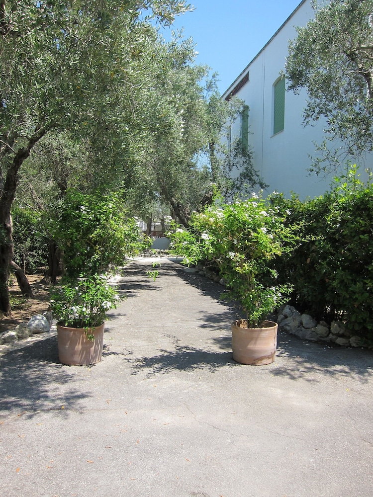 Tenuta Belvedere