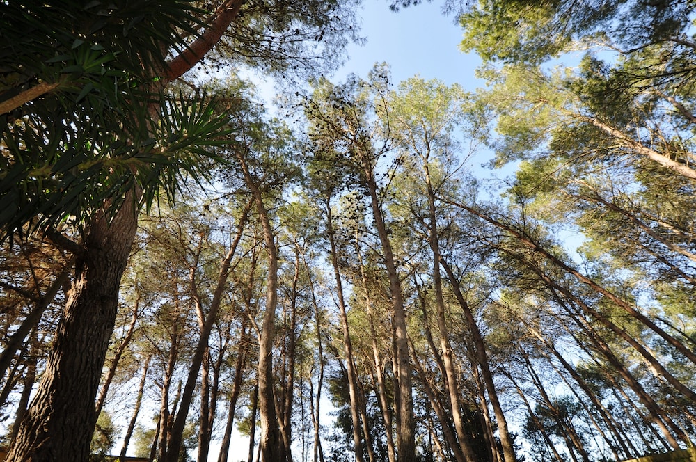 Masseria Frassaniti