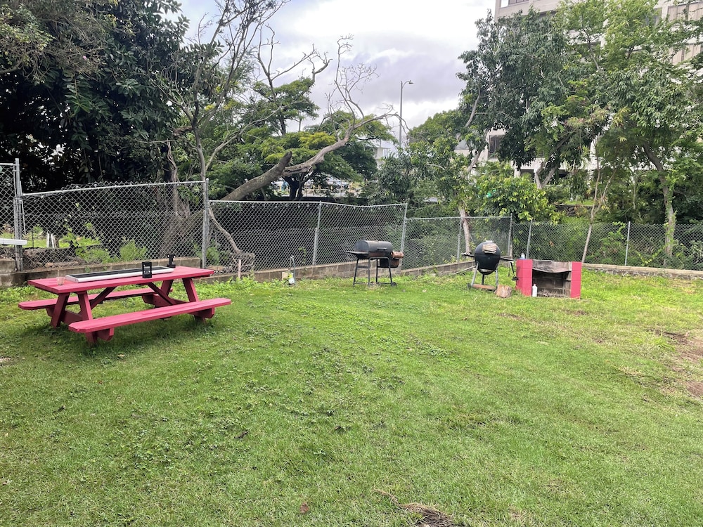 Urban oasis in heart of city-large yard