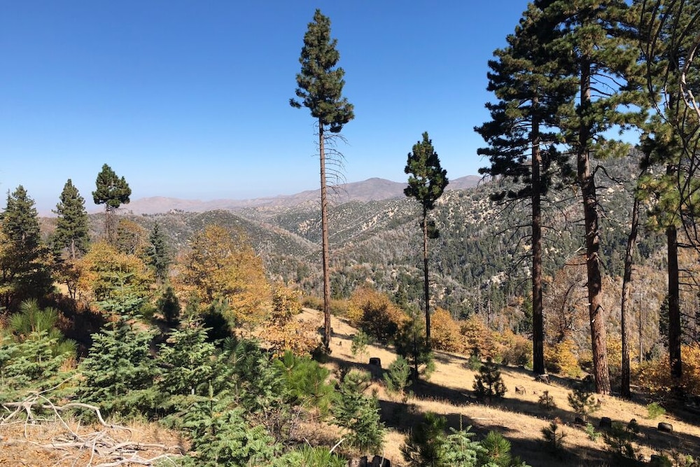 Postcard Cabins Big Bear, Outdoor Collection by Marriott Bonvoy