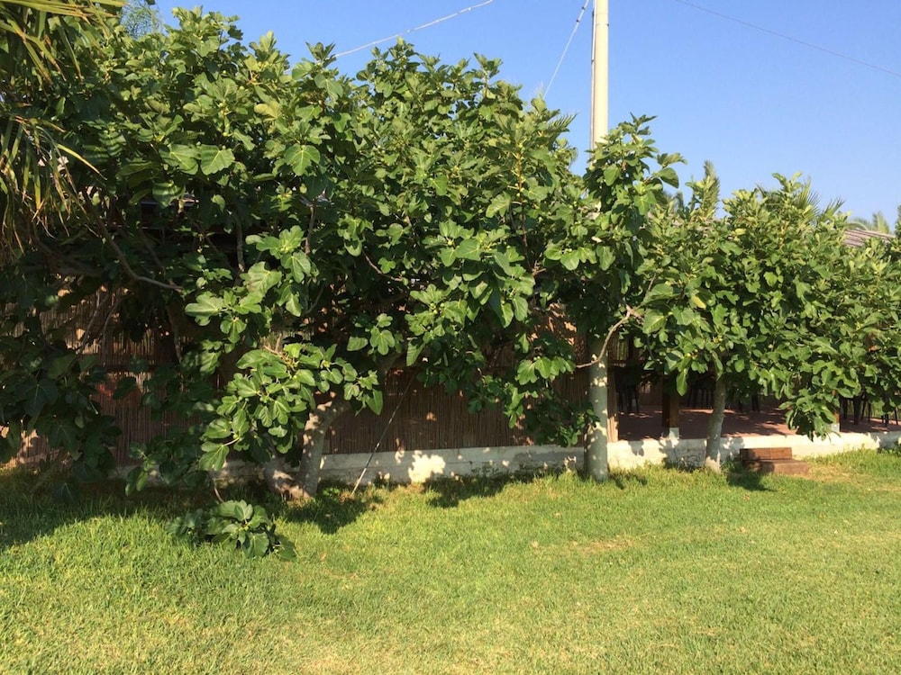 Tenuta Annibale