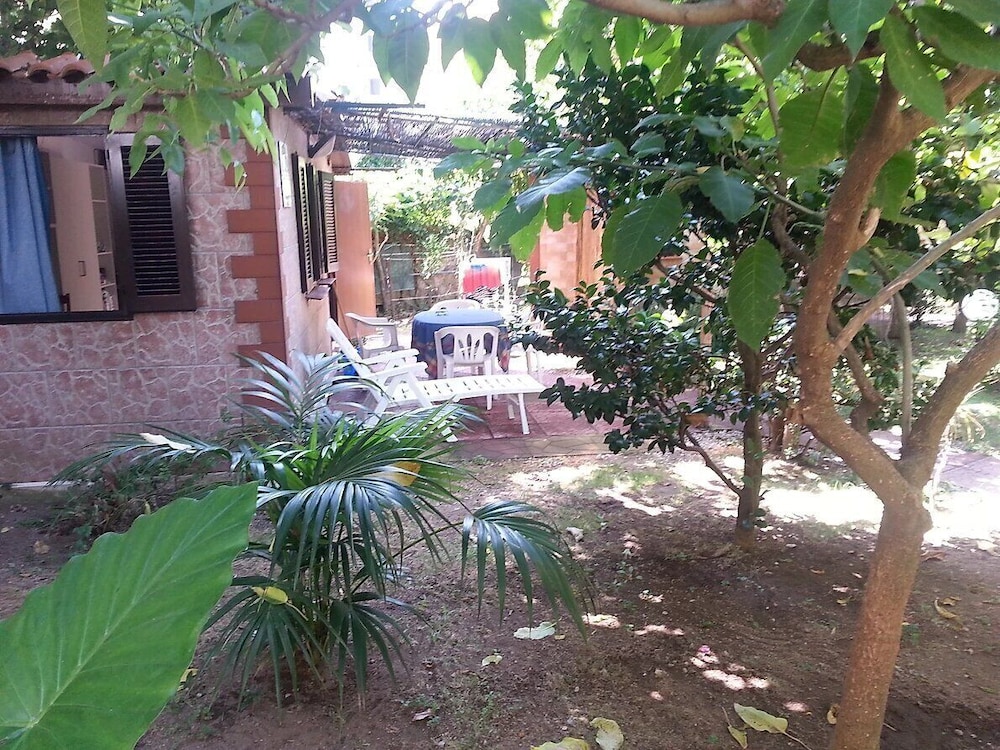 Photo 17