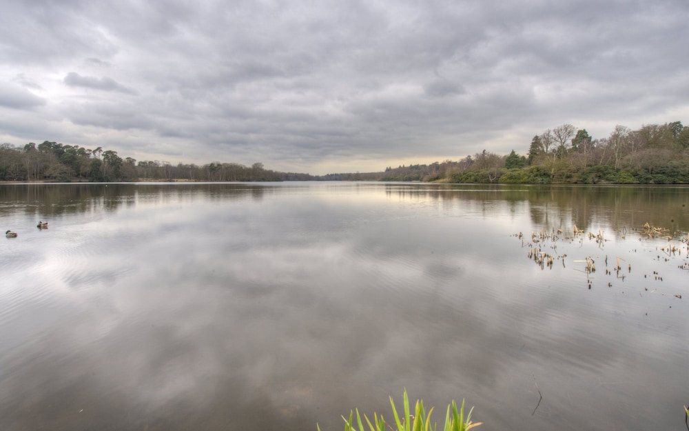 Wheatsheaf Hotel - Virginia Water by Chef and Brewer Collection