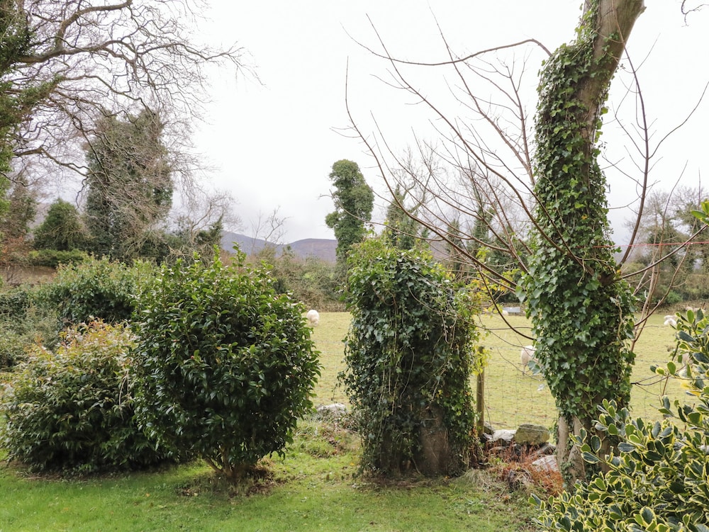 Tudor Lodge