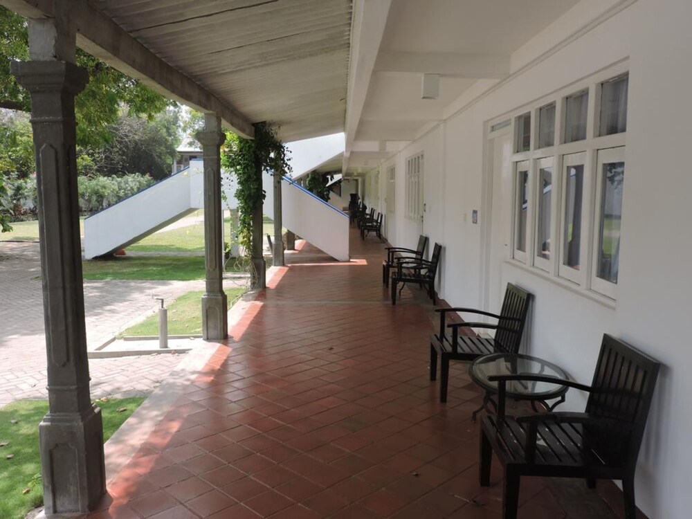 Photo 16
