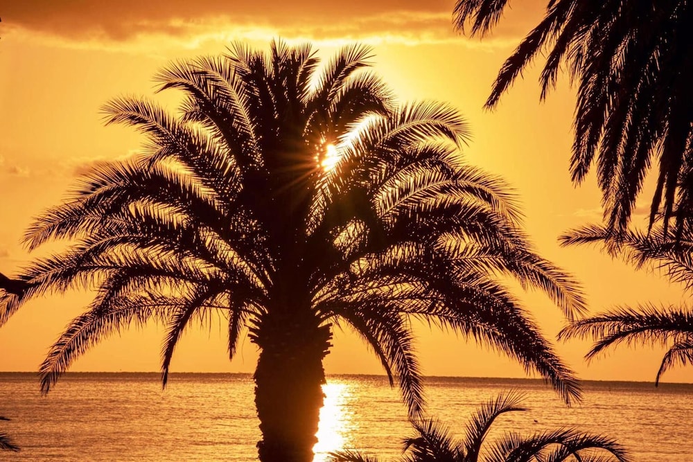Mare d'Amare, 写真 42