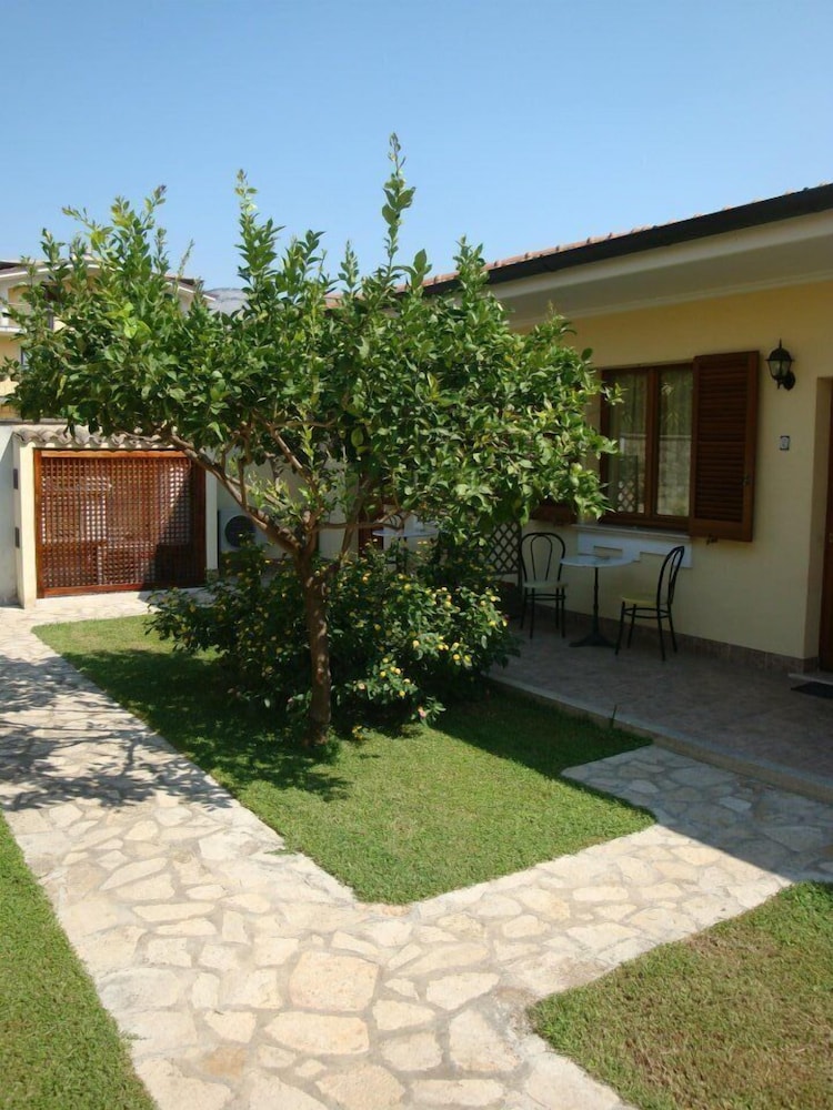 Photo 24