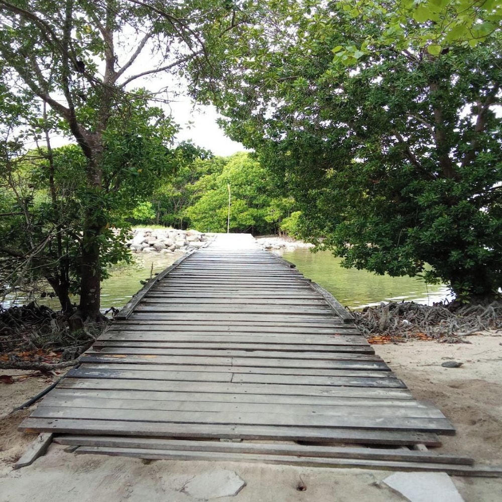 Sea Breeze View