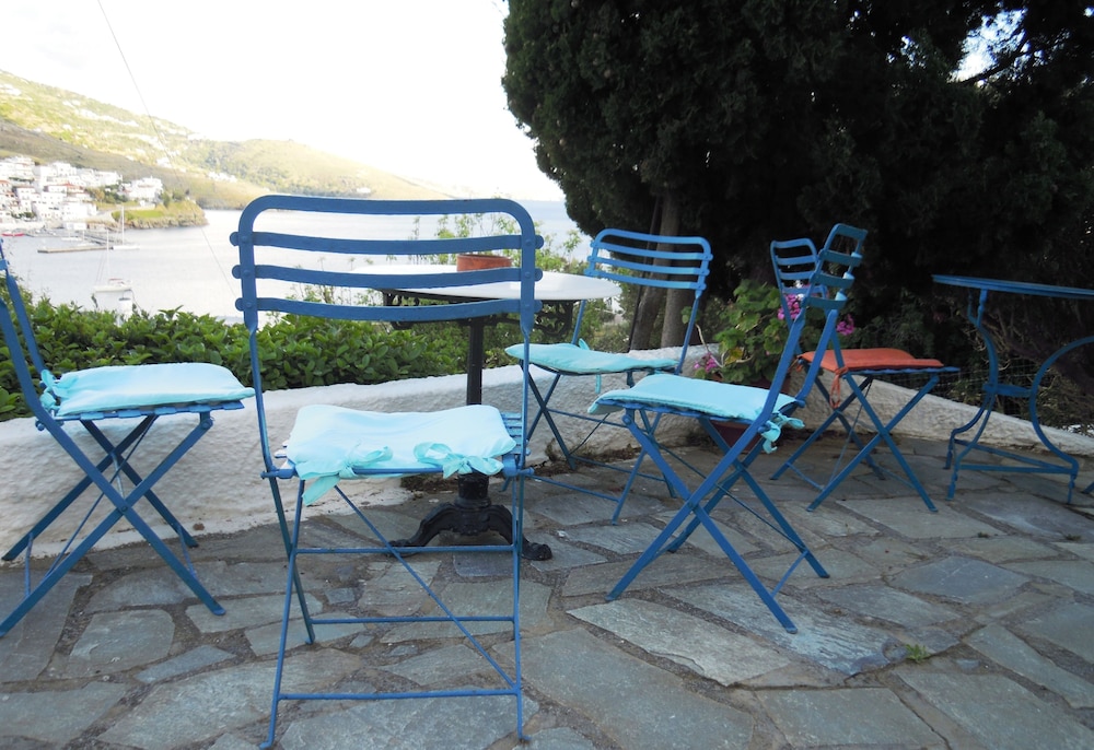 Blue Dolphin