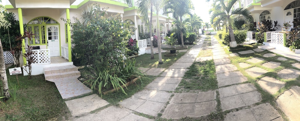 Photo 41