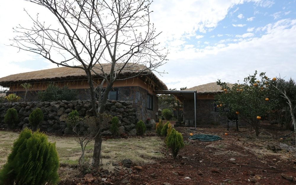 Photo 24