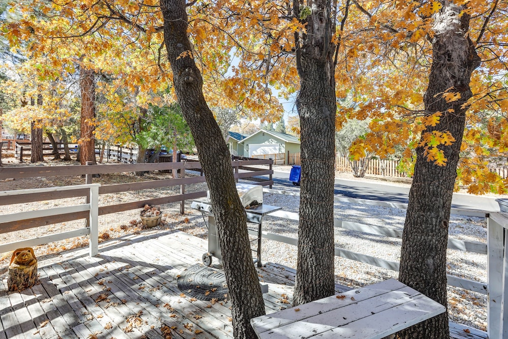 Sugarloaf Cabin w/ Fireplace Near Big Bear Lake - Property Image 10