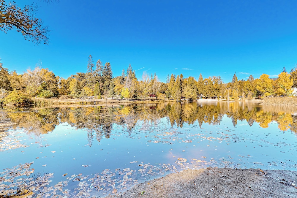 1BR Dog-friendly Lakefront Cabin w/ Canoes