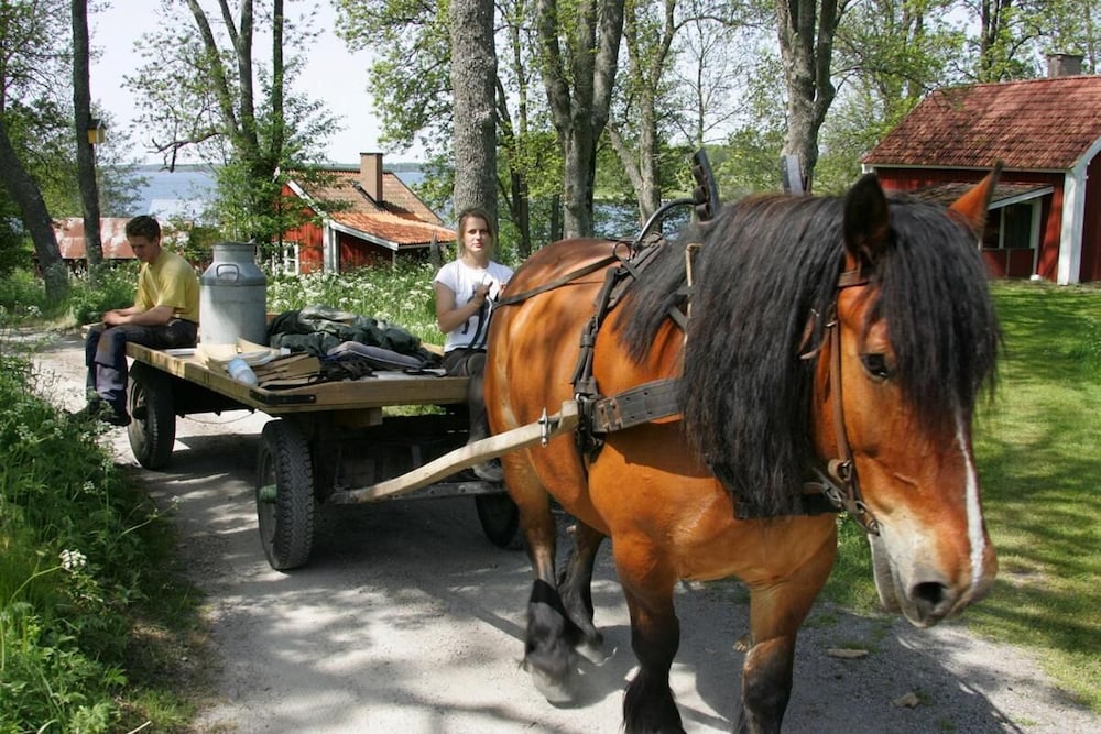 Photo 27