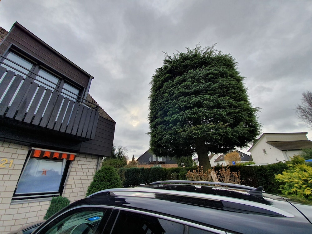 Photo 49
