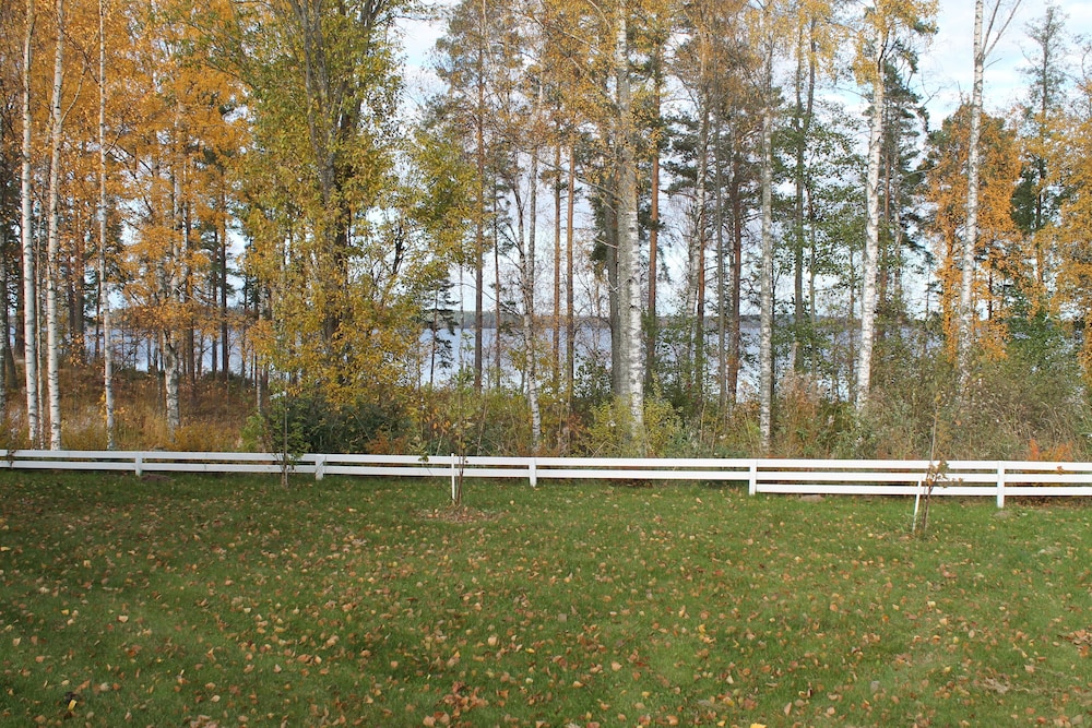 Photo 31