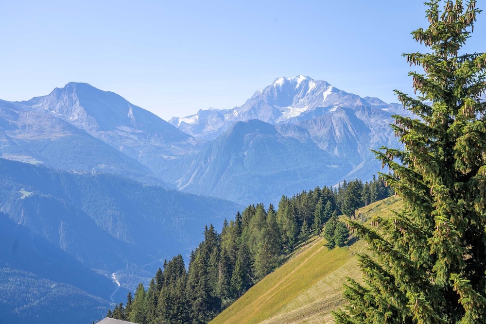 Chalet Collini
