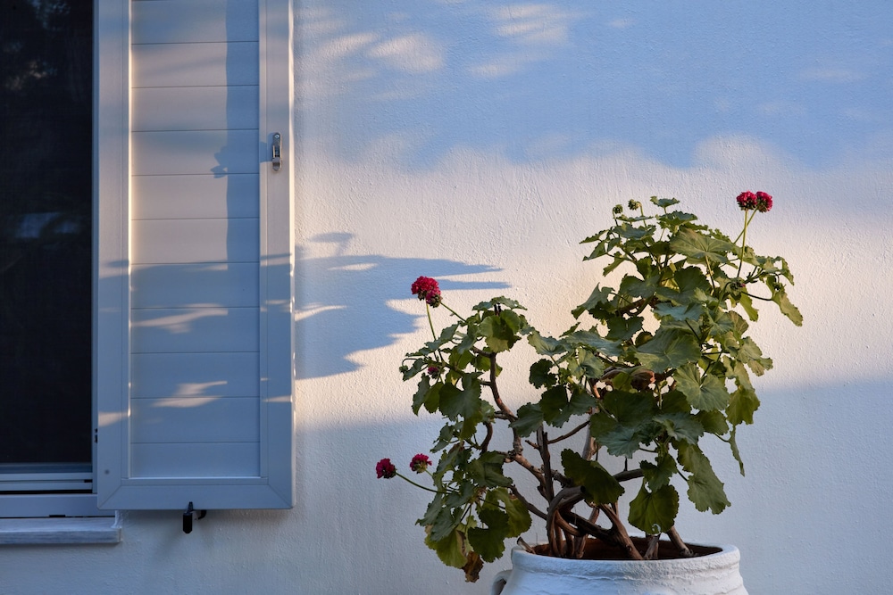Mykonos Town Suites