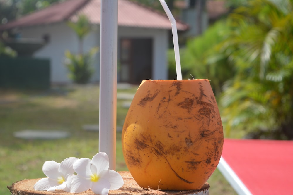 Lagoon Resort Goviyapana