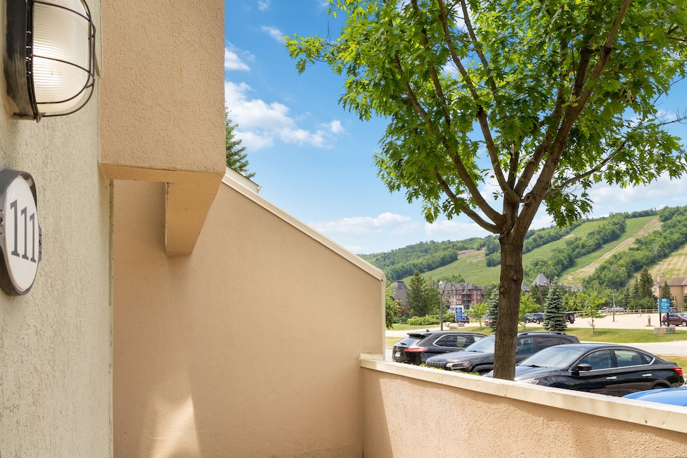 Wintergreen Condos