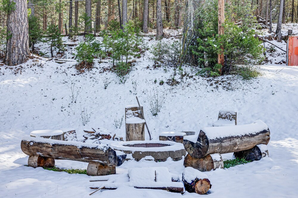 Secluded Cabin Near Calaveras Big Trees State Park view 4