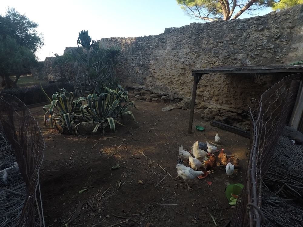 Agriturismo Masseria Piutri