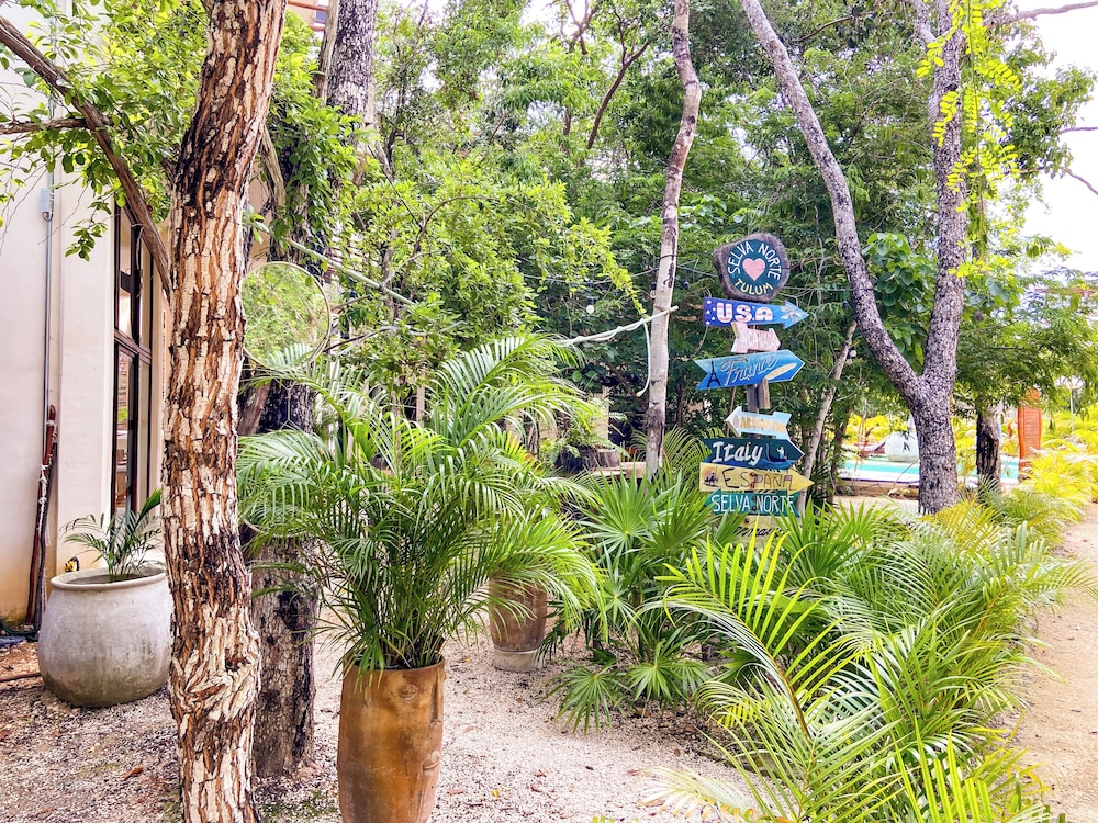 Selva Norte Nature Retreat with jacuzzi