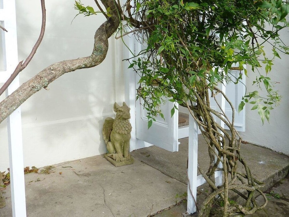 Photo 31