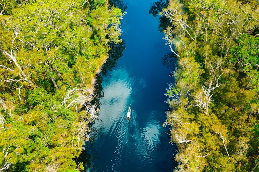 Habitat Noosa