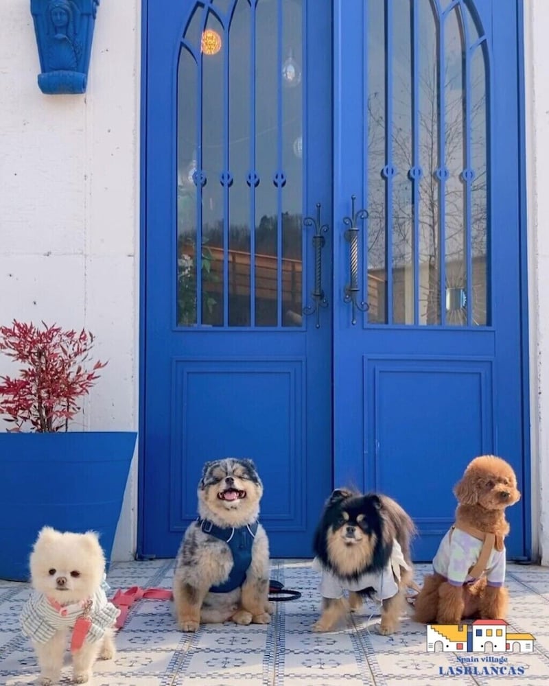 Spain Village Poolamping