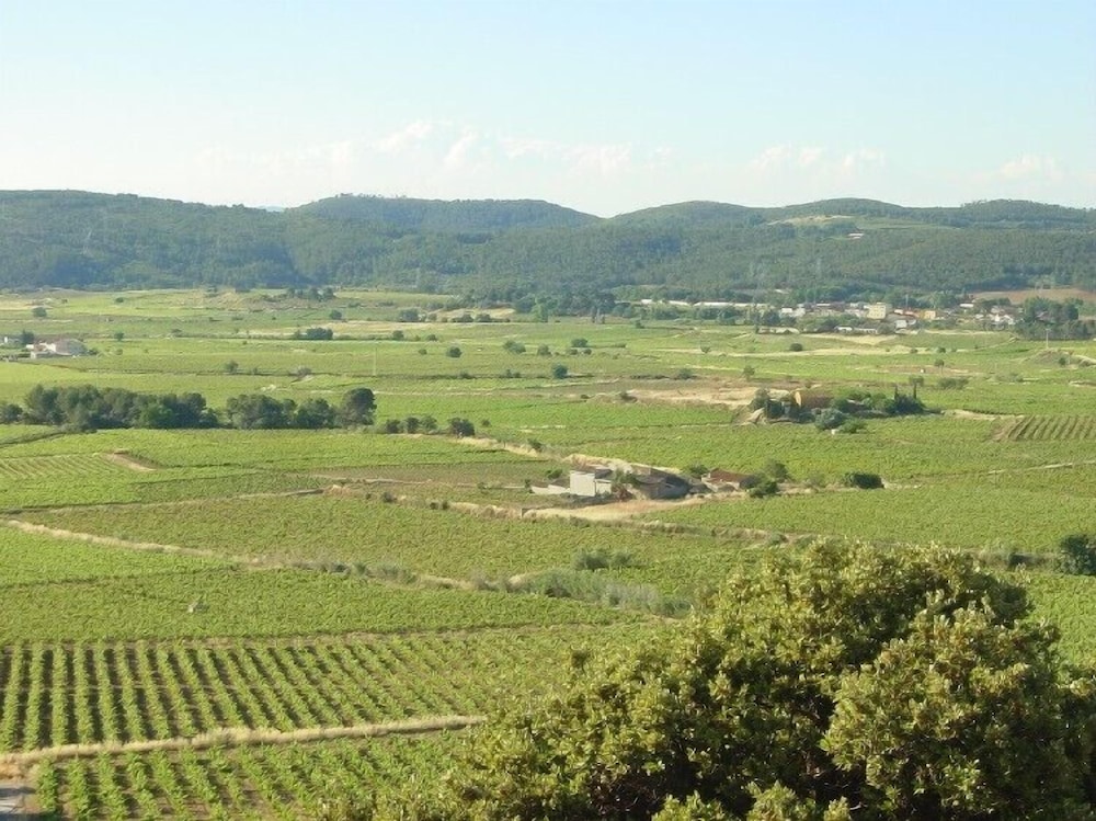 Arianella B&B Penedes view 5