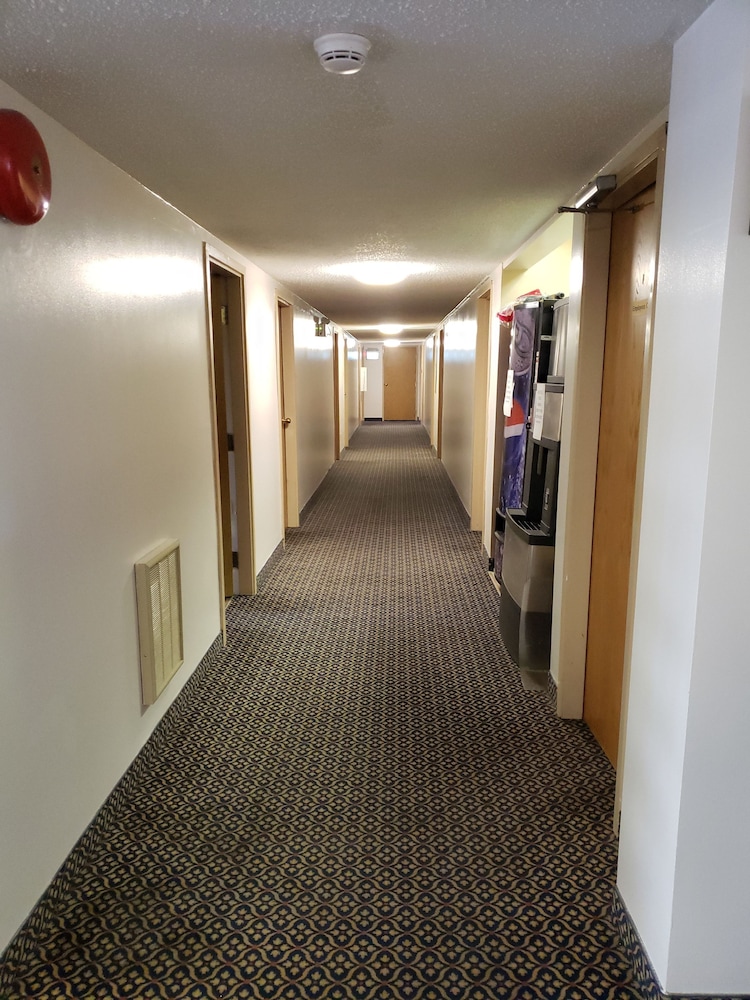 Photo 45