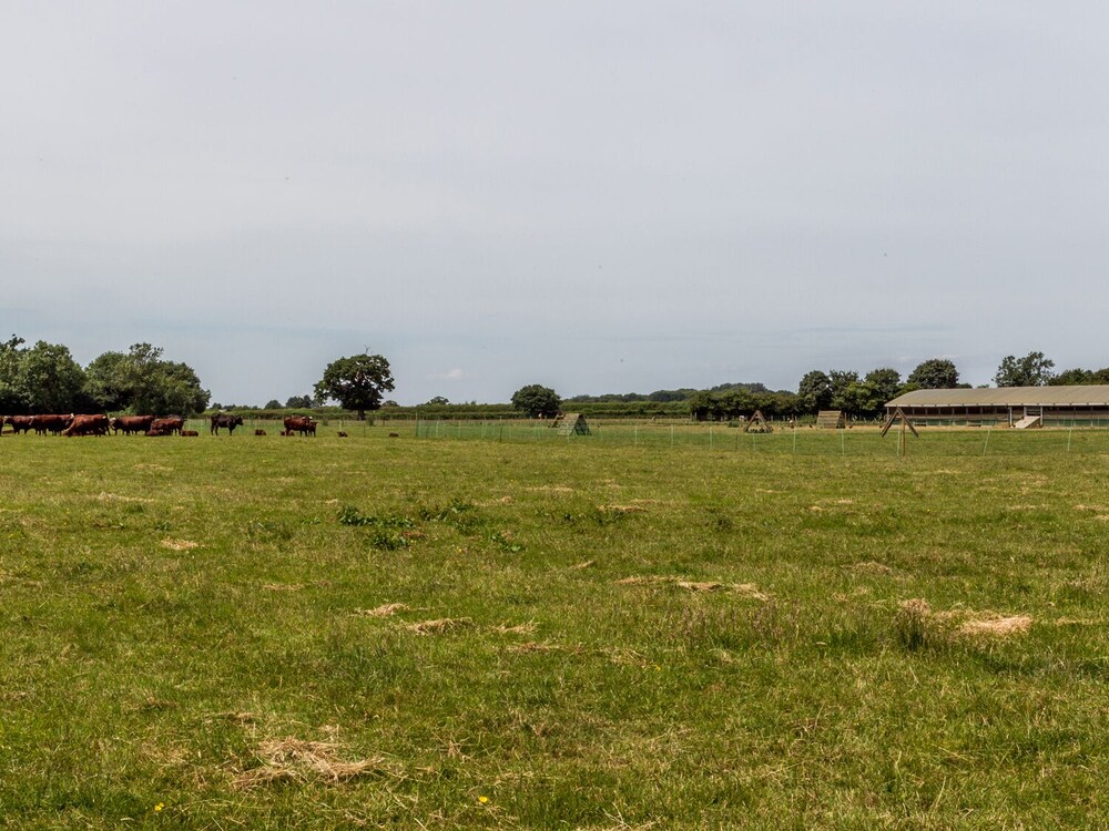 Chippenham Vacations - Woodmans Cottage  Nables Farm - Property Image 6