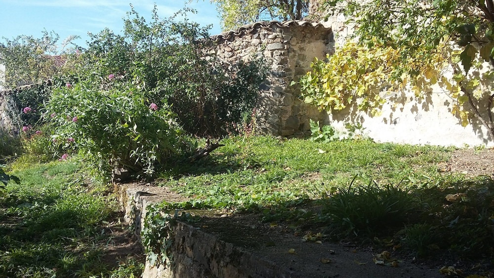 Photo 25