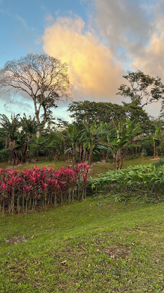 Vera Eco-Resort