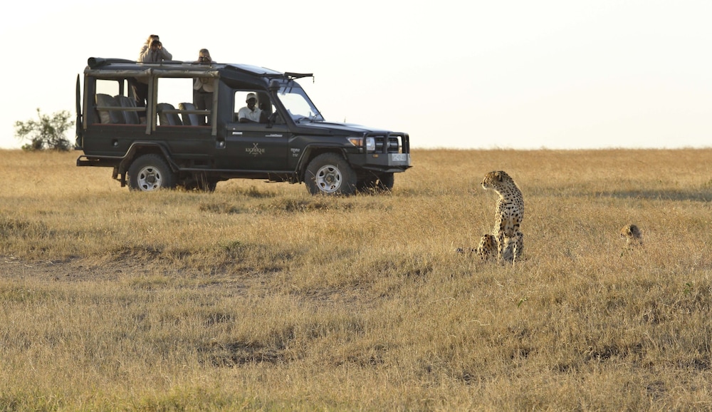 Kicheche Laikipia Camp
