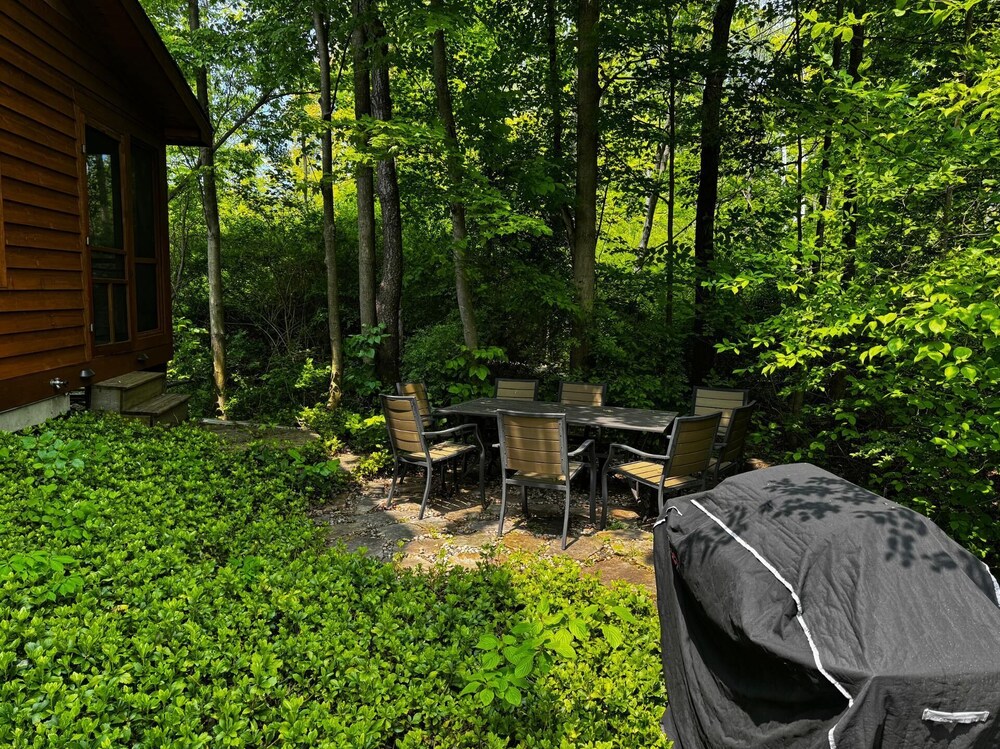 Timber Nest Goshorn Lake Dock, Pool, Town HOT Tub!