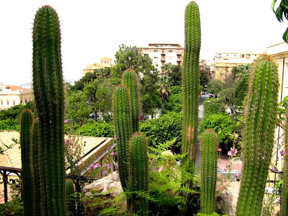 Bed and Breakfast Le Palme