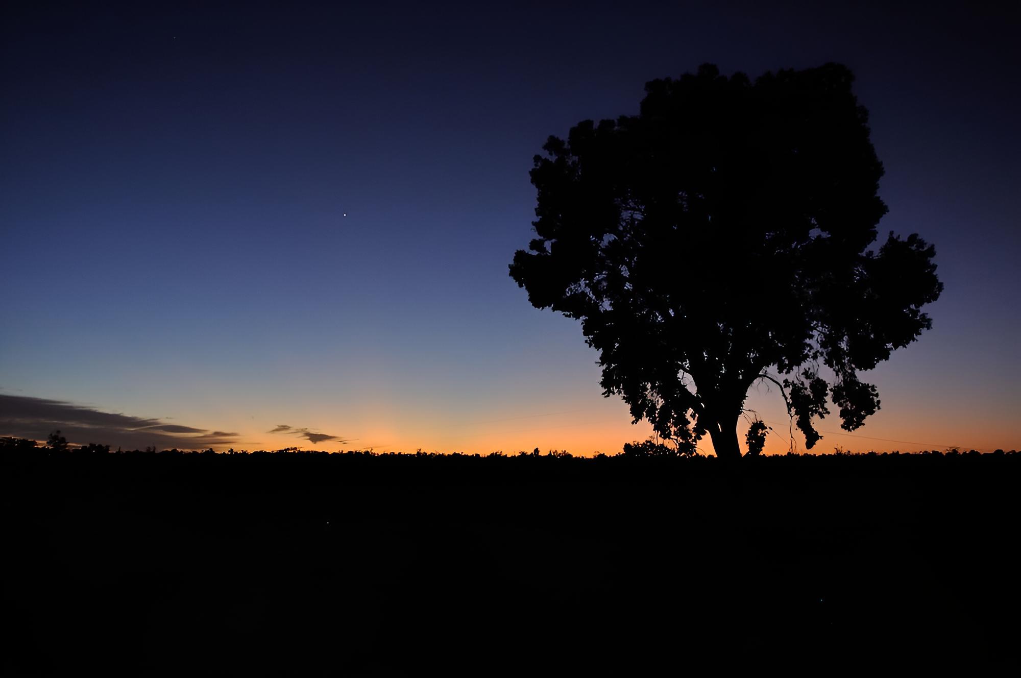 Wilga Farm Stay