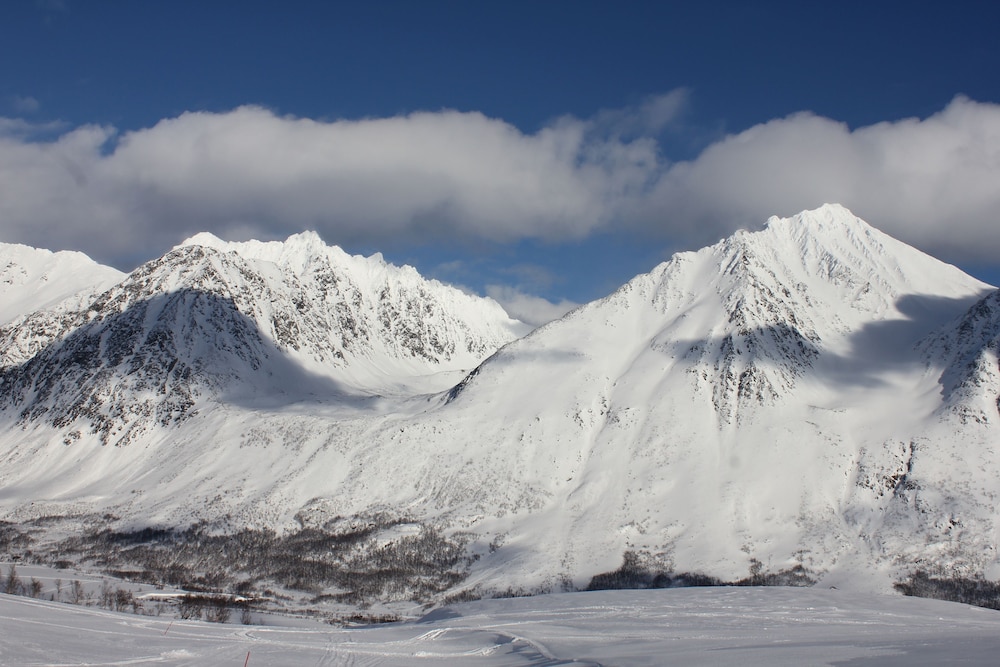 Photo 40