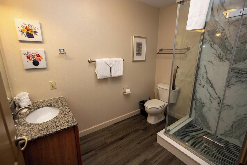 Mountain View Condo 1501