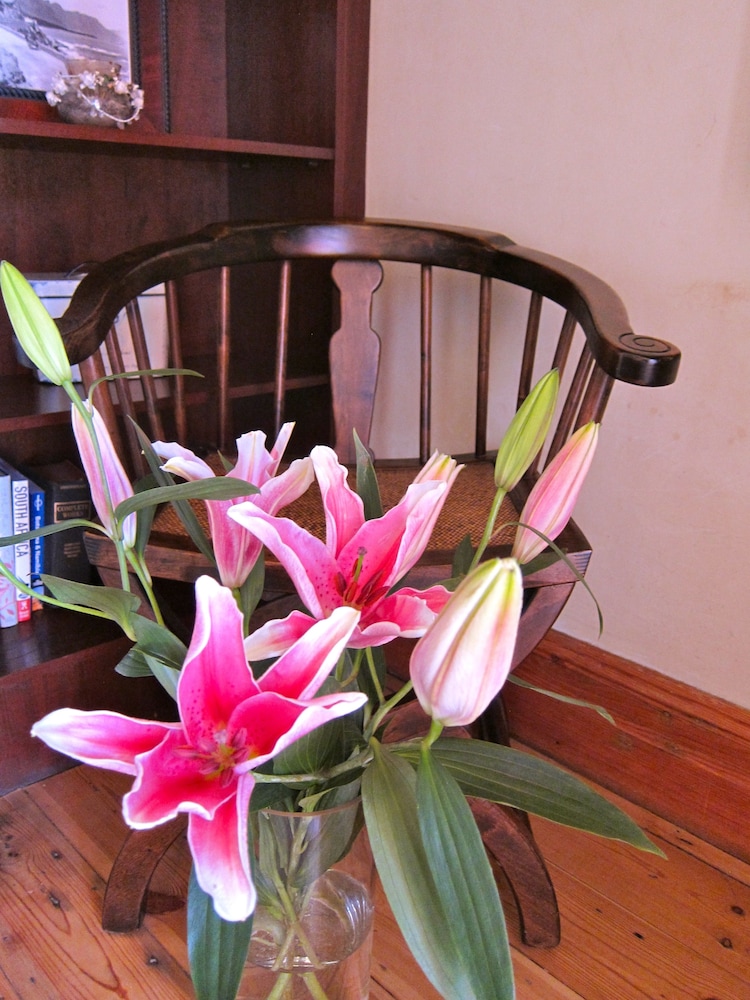 Photo 46