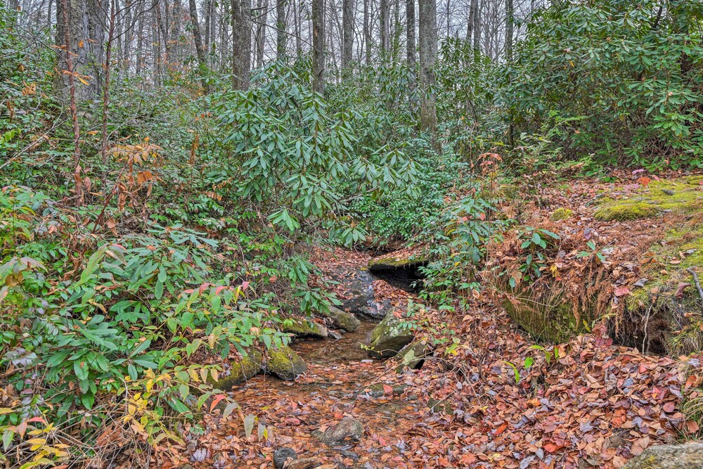 Photo 40