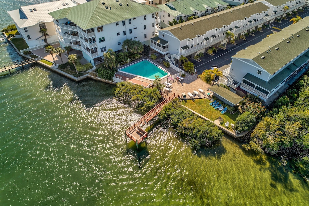Sea Shell 24