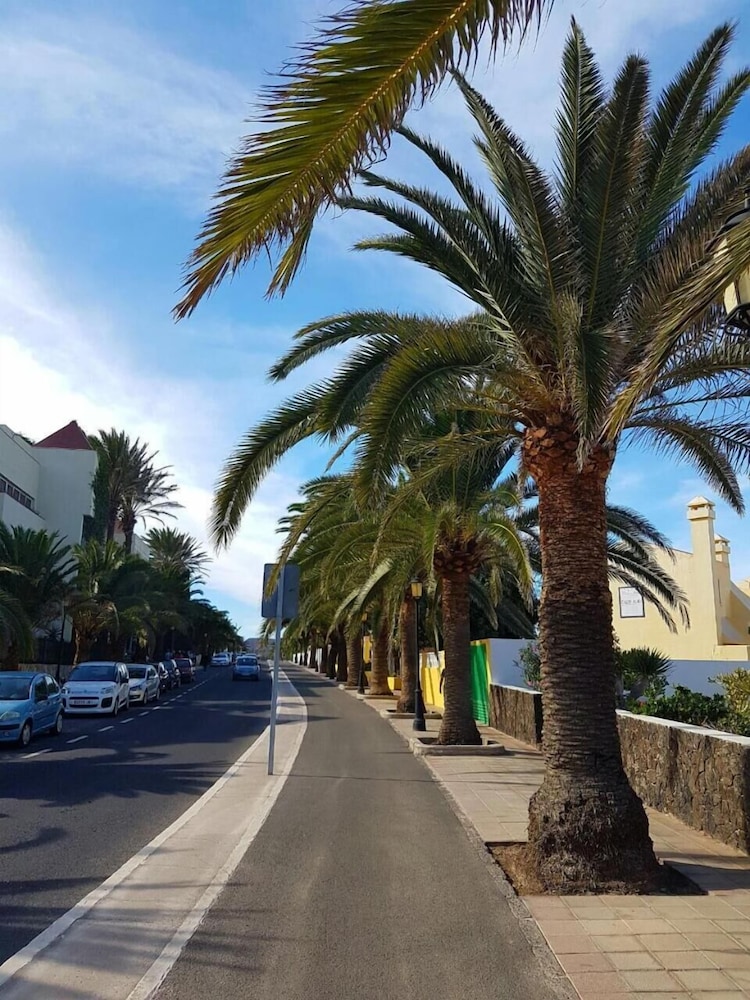 International Surf School & Camp - Hostel