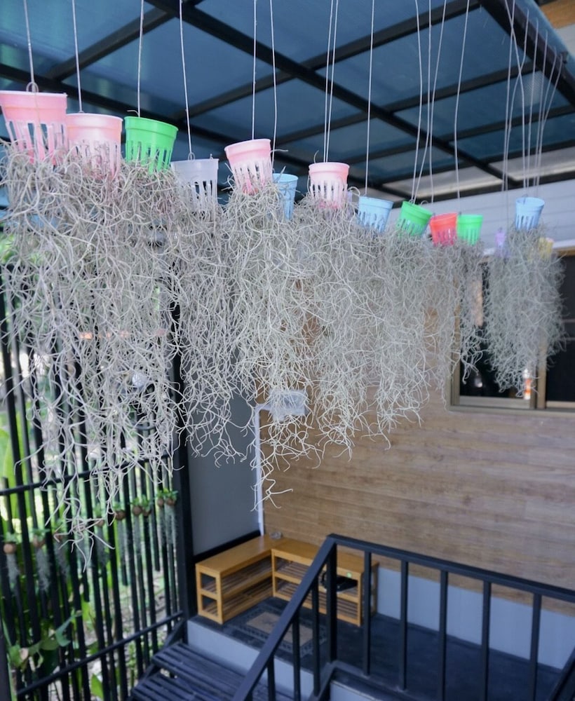 Decho Hostel