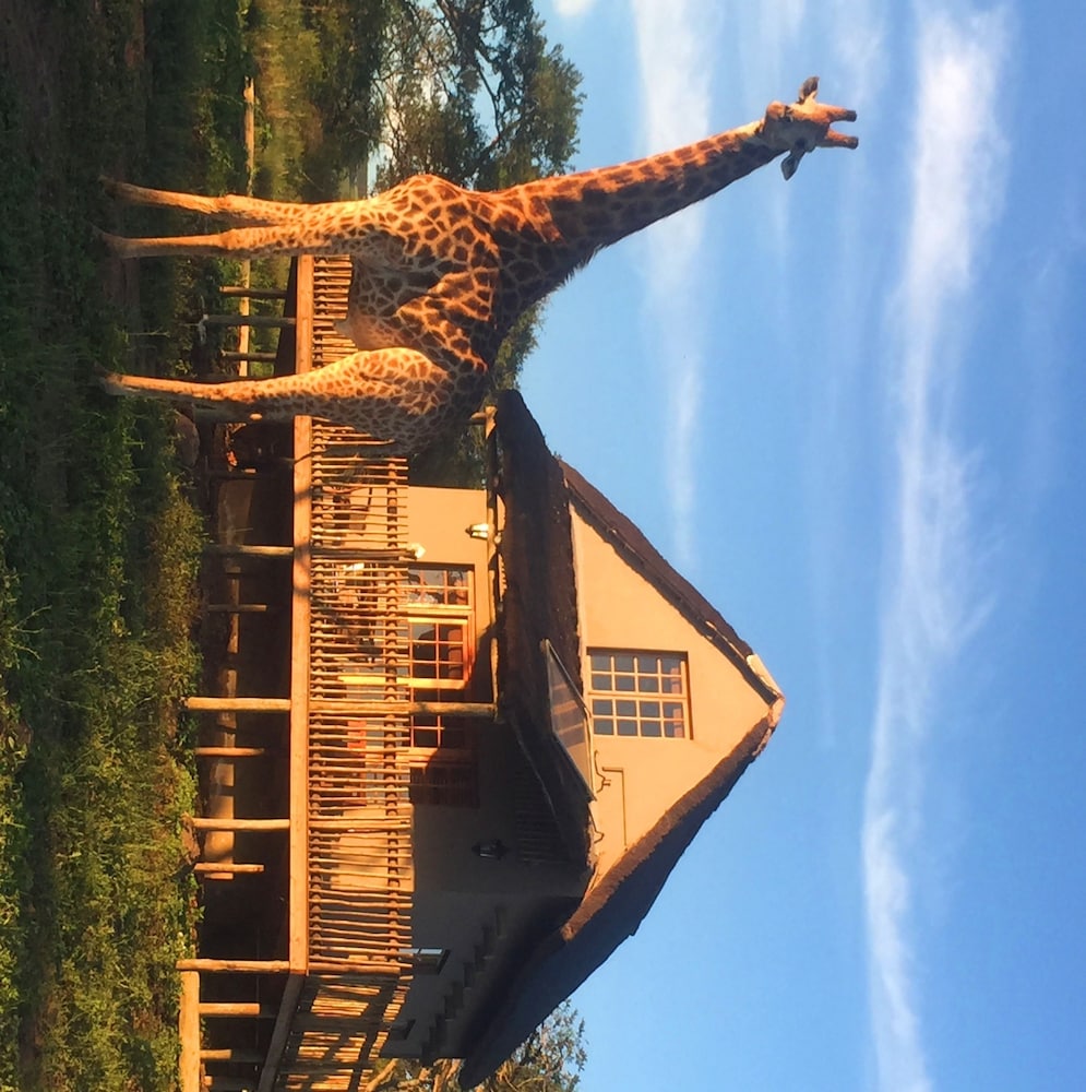 Ukuthula Lodge