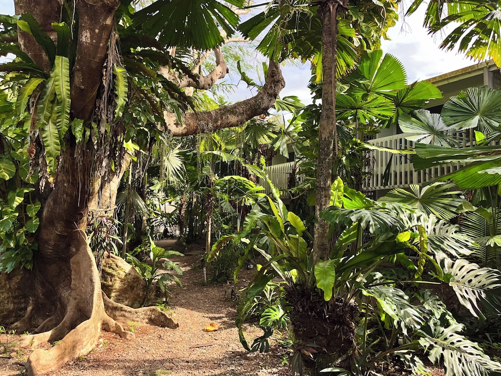 Mission Beach Lodge