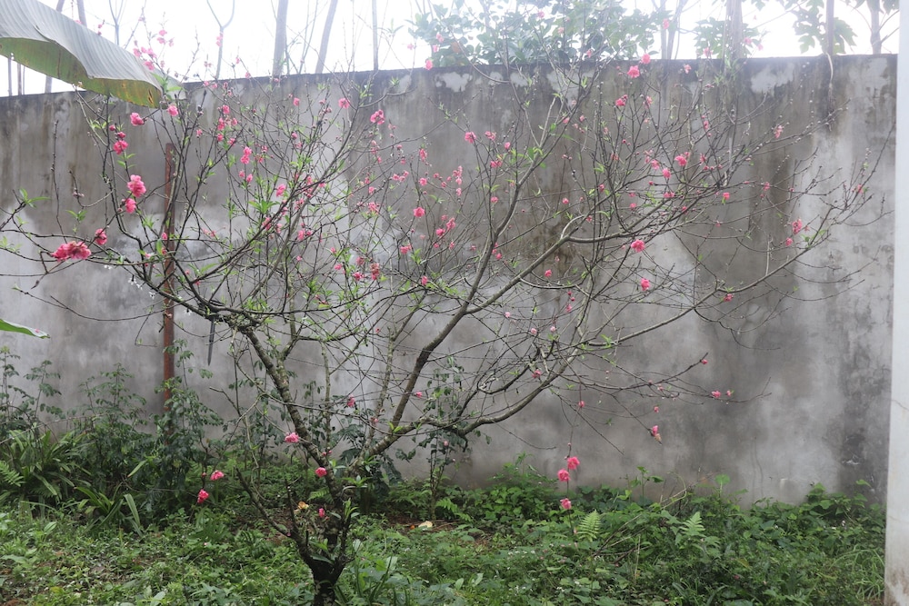 Atash Eco Village Homestay Van Hoi