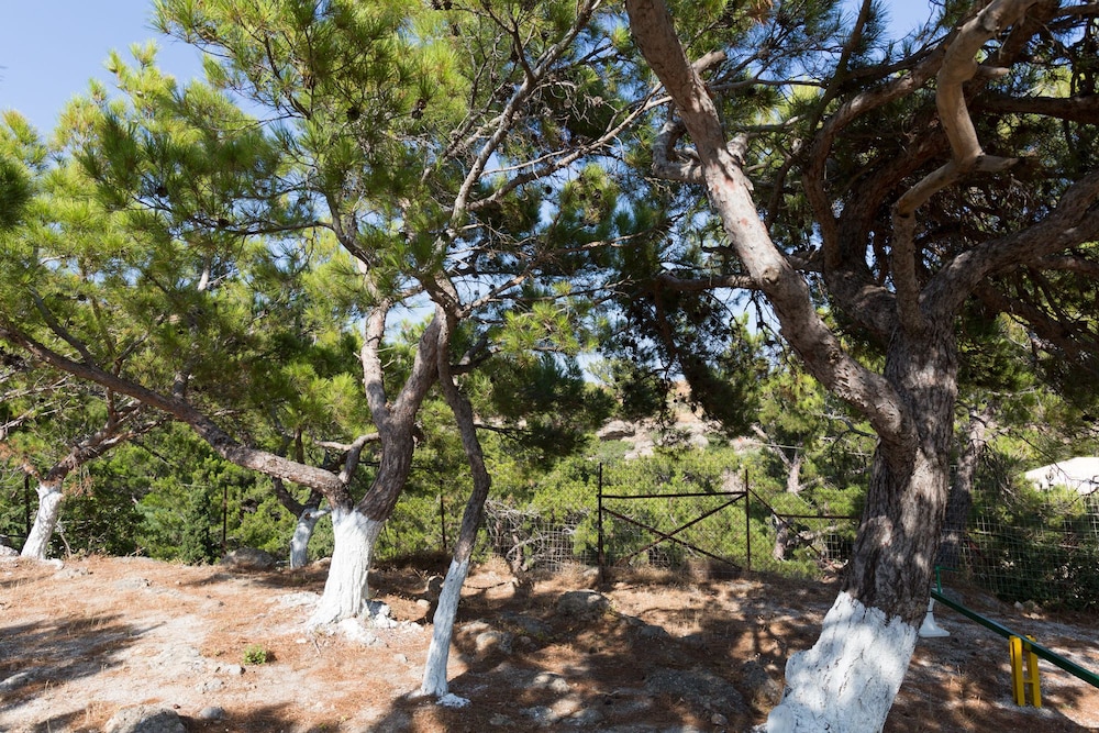 Ferma Hill Apartments photo 4